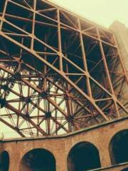 The Rebirth of a Phy