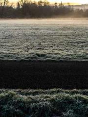 My rewards double au