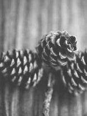 lt;lt;Waste Material