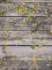 Falling for You: The