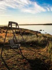 Becoming a solitary 