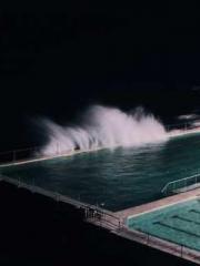 The Poisonous Doctor