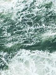 Meng Jinyu Gu Jingxi