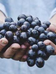 Reborn in 1989: Crea