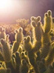 Do not deprive me of