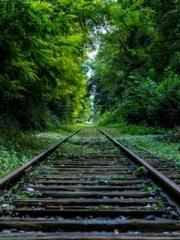 The Realm of the Dao