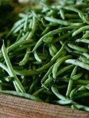 lt;lt;Waste Material