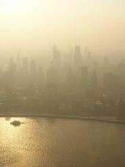 The Imperial Concubi